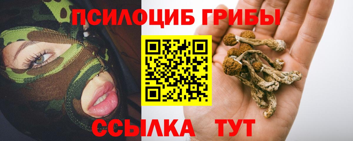 Лабинск  Псилоцибиновые грибы Psilocybe  Вход с VPN  Галлюциногенные грибы Psilocybine cubensis 